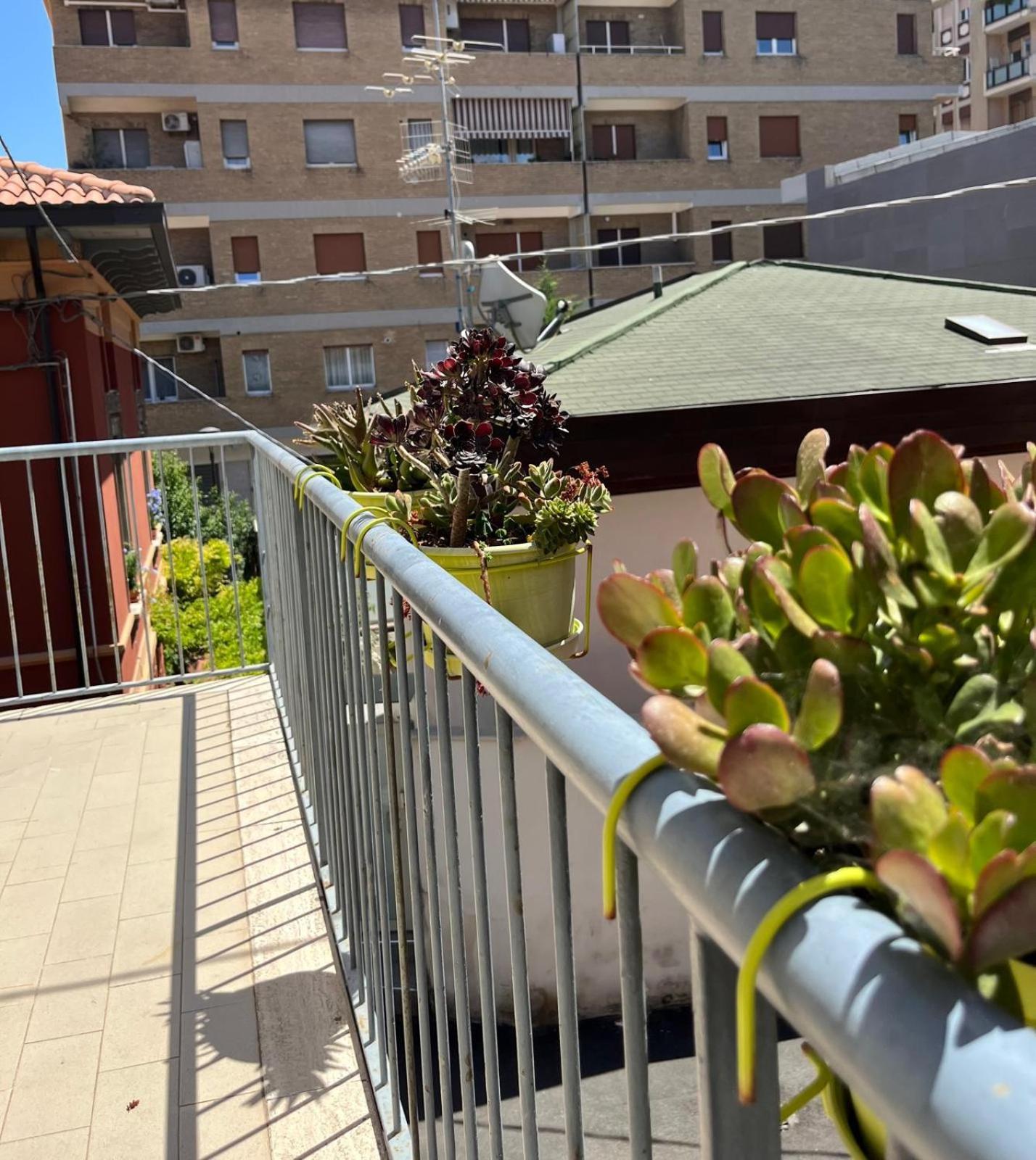 Bed And Breakfast Sofia Pescara Ngoại thất bức ảnh